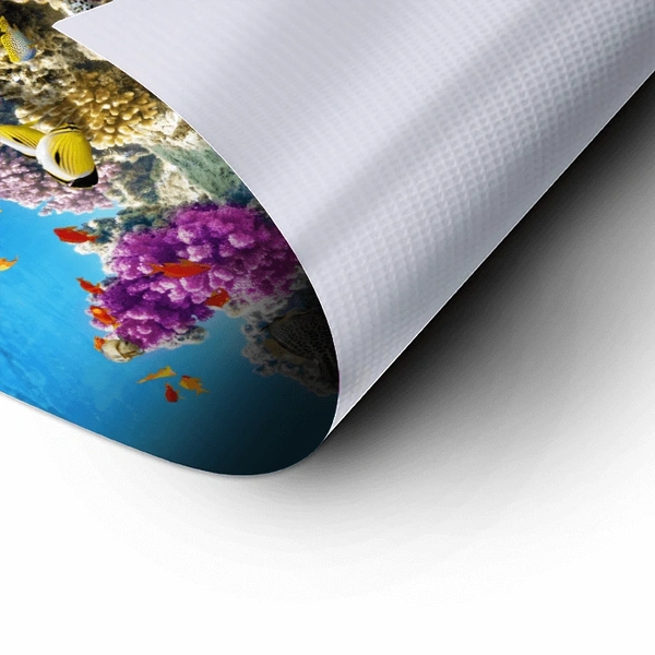 Waterproof Poster - Rolled - Reef